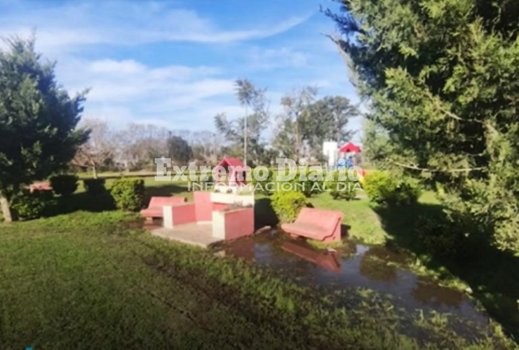 Imagen de Reclaman tareas de mantenimiento en el Paseo Pedro Spina