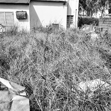 Imagen de Rojas desarm&oacute; el &aacute;rea que inspeccionaba el mantenimiento de lotes en estado de abandono