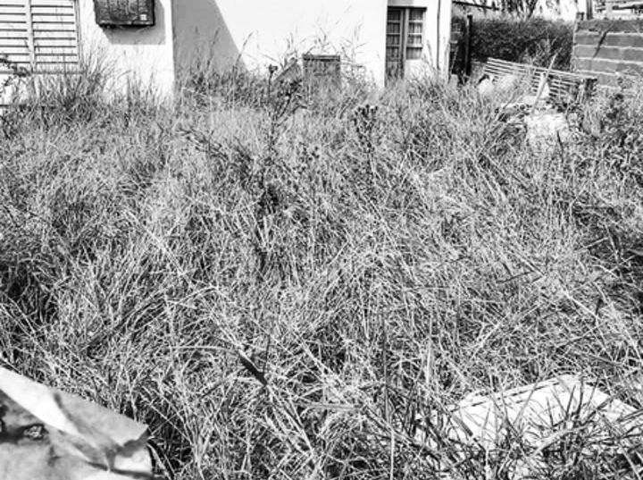 Imagen de Rojas desarm&oacute; el &aacute;rea que inspeccionaba el mantenimiento de lotes en estado de abandono