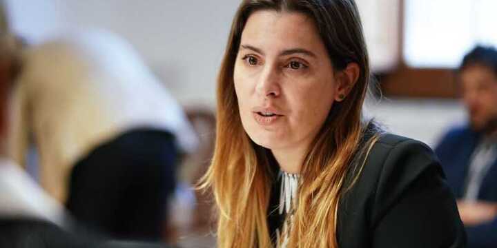 Imagen de Cattalini quiere evitar estafas y proteger a las familias que compran un lote