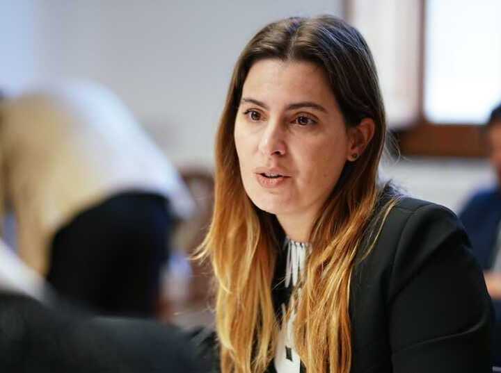 Imagen de Cattalini quiere evitar estafas y proteger a las familias que compran un lote