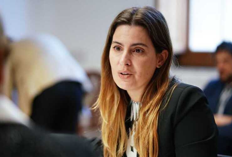 Imagen de Cattalini quiere evitar estafas y proteger a las familias que compran un lote