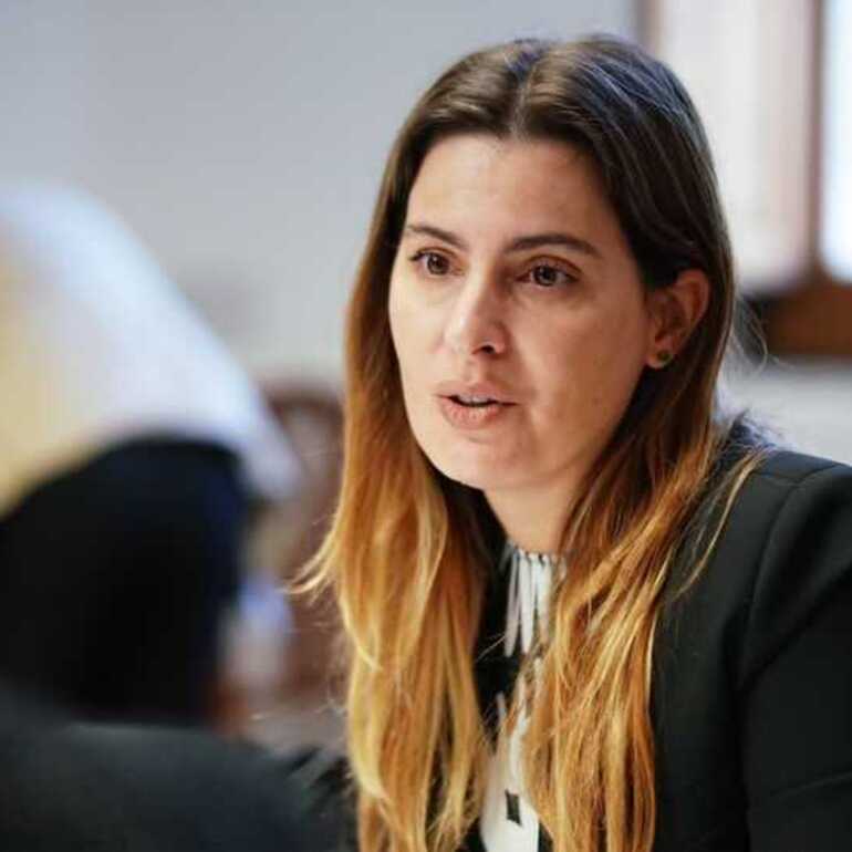 Imagen de Cattalini quiere evitar estafas y proteger a las familias que compran un lote