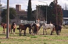 Foto: Archivo