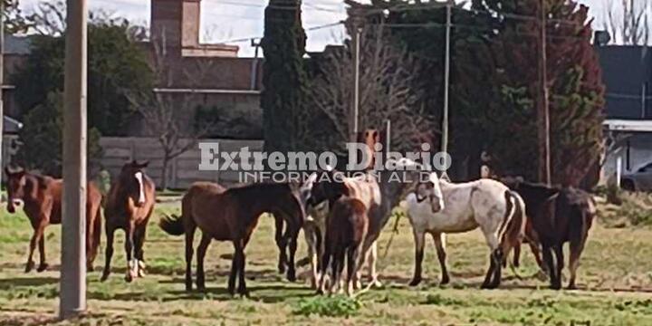 Foto: Archivo
