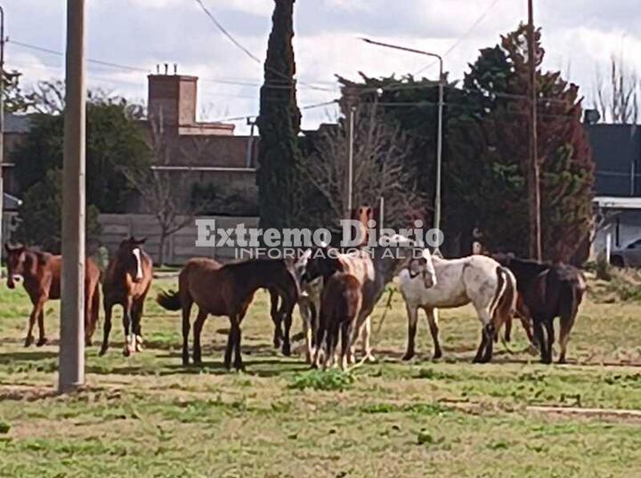 Foto: Archivo