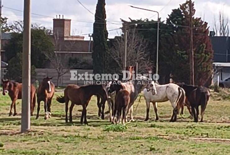 Foto: Archivo
