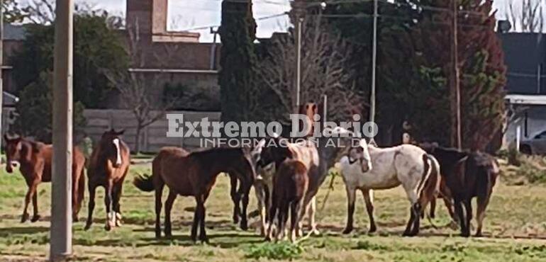 Foto: Archivo