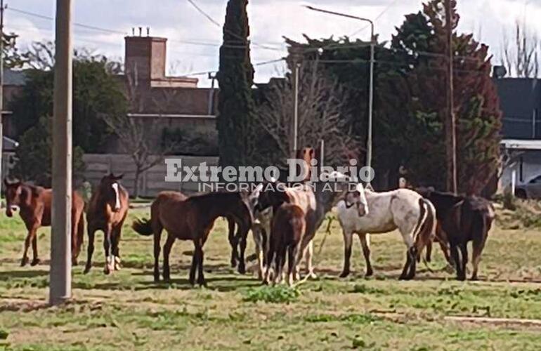 Foto: Archivo