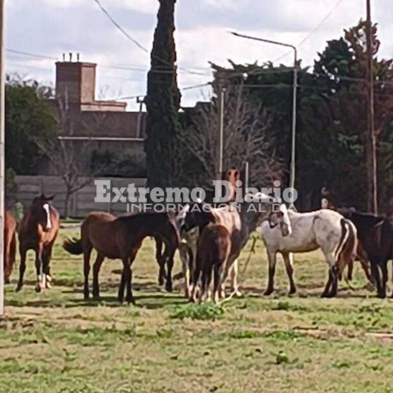 Foto: Archivo