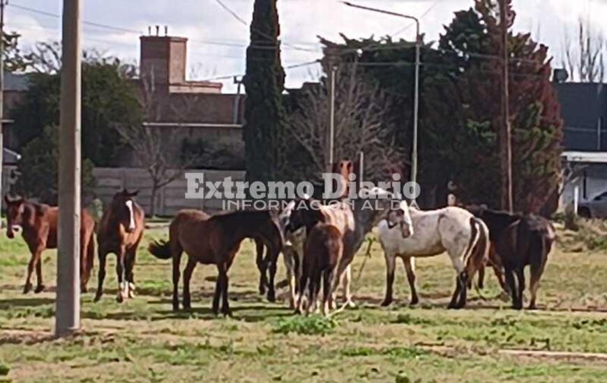 Foto: Archivo