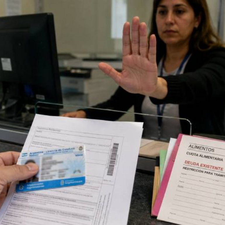 Imagen de Deudores alimentarios en Santa Fe: la C&aacute;mara de Diputados dio media sanci&oacute;n al proyecto que limita candidaturas, ingreso a canchas y casinos