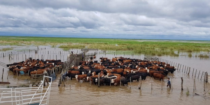 Imagen de El INA redujo las estimaciones para la crecida del r&iacute;o Paran&aacute;, pero advierten que la suba continuar&aacute; en la regi&oacute;n