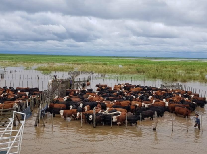 Imagen de El INA redujo las estimaciones para la crecida del r&iacute;o Paran&aacute;, pero advierten que la suba continuar&aacute; en la regi&oacute;n