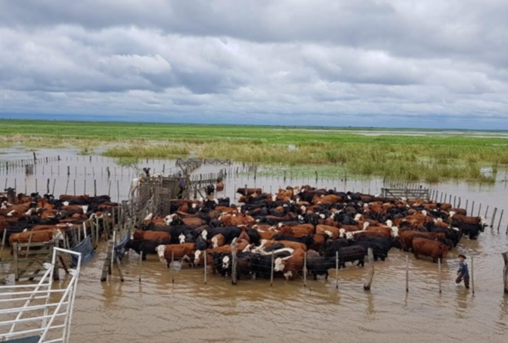 Imagen de El INA redujo las estimaciones para la crecida del r&iacute;o Paran&aacute;, pero advierten que la suba continuar&aacute; en la regi&oacute;n