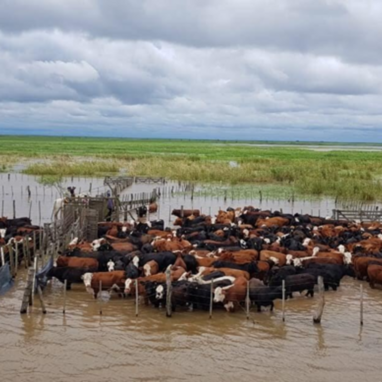 Imagen de El INA redujo las estimaciones para la crecida del r&iacute;o Paran&aacute;, pero advierten que la suba continuar&aacute; en la regi&oacute;n