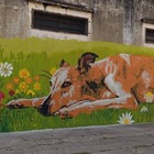 Imagen de Arroyo Seco suma arte urbano: la Academia Dalí presentó el resultado de su Taller de Muralismo Imagen de Arroyo Seco suma arte urbano: la Academia Dalí presentó el resultado de su Taller de Muralismo