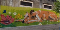 Imagen de Arroyo Seco suma arte urbano: la Academia Dal&iacute; present&oacute; el resultado de su Taller de Muralismo
