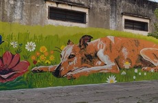 Imagen de Arroyo Seco suma arte urbano: la Academia Dal&iacute; present&oacute; el resultado de su Taller de Muralismo