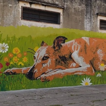 Imagen de Arroyo Seco suma arte urbano: la Academia Dal&iacute; present&oacute; el resultado de su Taller de Muralismo