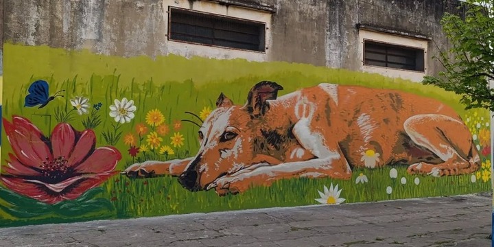 Imagen de Arroyo Seco suma arte urbano: la Academia Dal&iacute; present&oacute; el resultado de su Taller de Muralismo