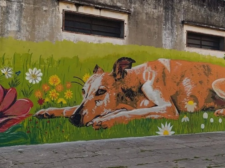 Imagen de Arroyo Seco suma arte urbano: la Academia Dal&iacute; present&oacute; el resultado de su Taller de Muralismo