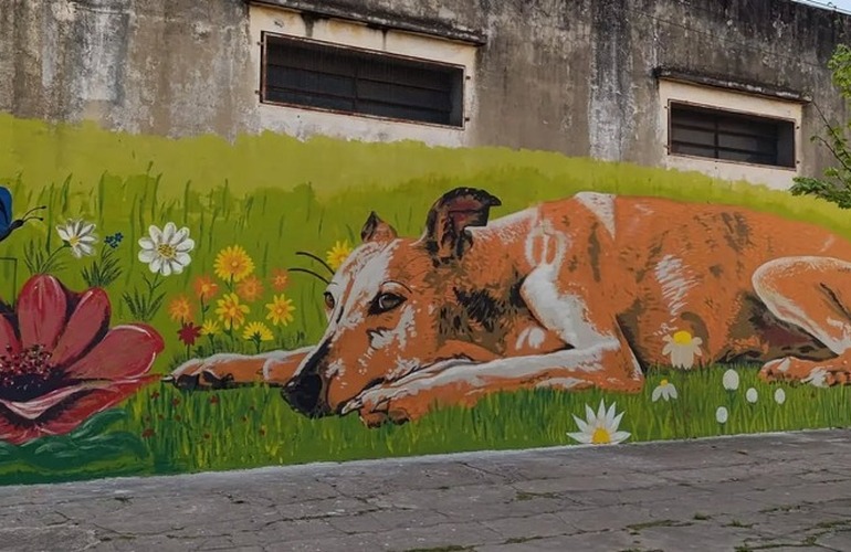 Imagen de Arroyo Seco suma arte urbano: la Academia Dal&iacute; present&oacute; el resultado de su Taller de Muralismo