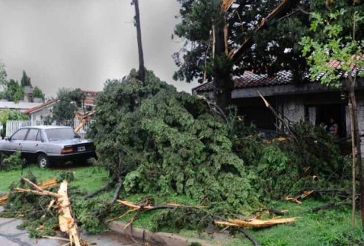 Imagen de Once localidades del sur santafesino continúan sin luz por daños y precaución