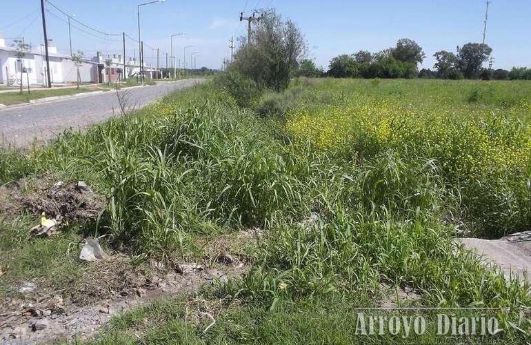 Imagen de Reclamo de vecinos de Barrio Santa Rita