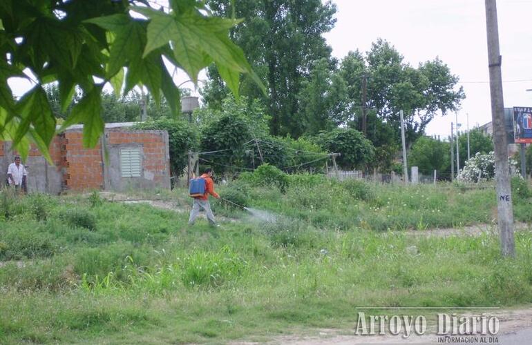 Foto: Juan B. Justo y 1&ordm; de Mayo, el domingo por la ma&ntilde;ana. Fueron registradas por una vecina.