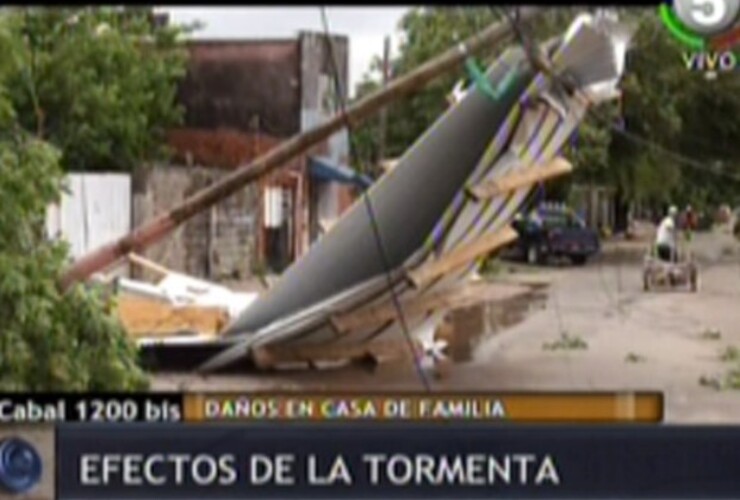 Imagen de Cien árboles caídos y vientos de más de 100 kilómetros por hora, el saldo de la tormenta