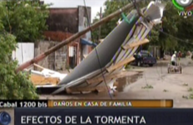 Imagen de Cien árboles caídos y vientos de más de 100 kilómetros por hora, el saldo de la tormenta