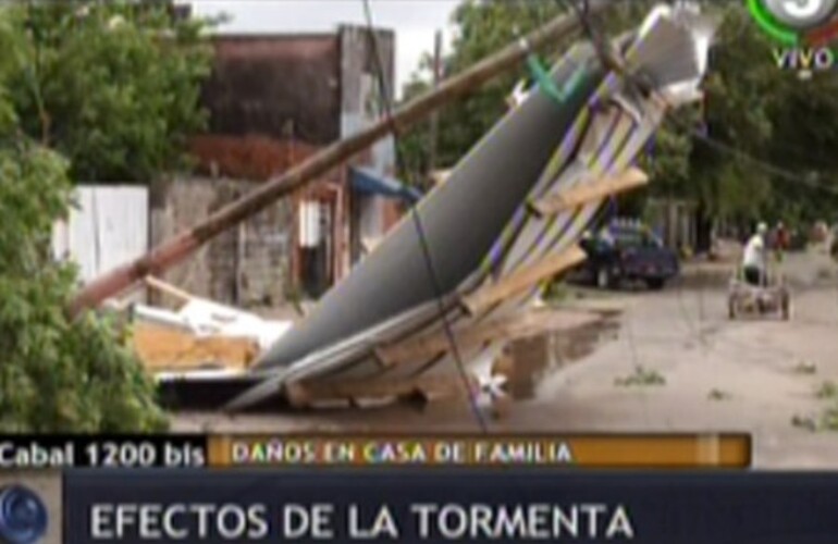 Imagen de Cien &aacute;rboles ca&iacute;dos y vientos de m&aacute;s de 100 kil&oacute;metros por hora, el saldo de la tormenta