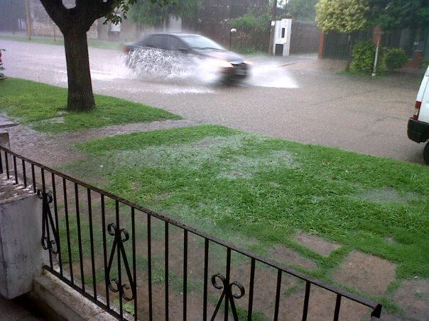 G&aacute;lvez al 100