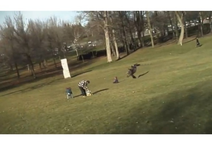 Imagen de Increible. Águila cazó al vuelo a bebé como a una presa