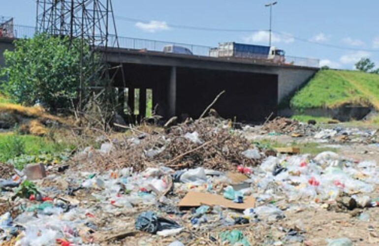 En Circunvalación y San Martín autos para desguace entre los pastizales. (foto: Matías Sarlo)