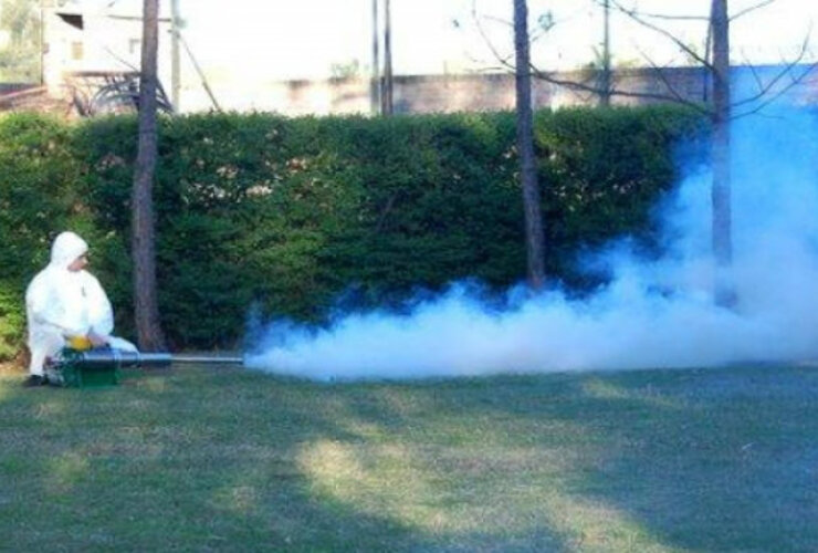 Imagen de Realizan una fuerte campaña de fumigación por la invasión de insectos