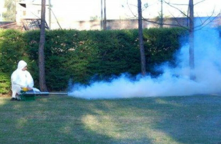 Imagen de Realizan una fuerte campaña de fumigación por la invasión de insectos