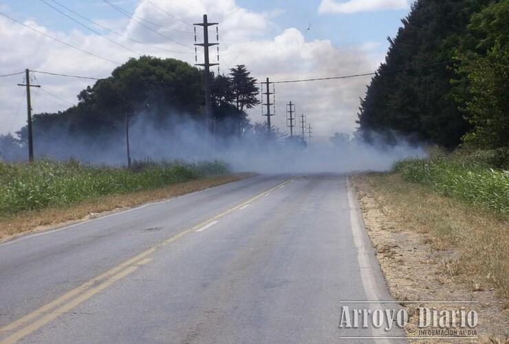 Imagen de Incendio de pastizales sobre Ruta Provincial Nº21