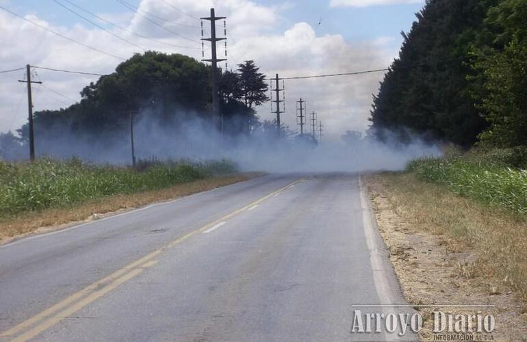 Imagen de Incendio de pastizales sobre Ruta Provincial Nº21