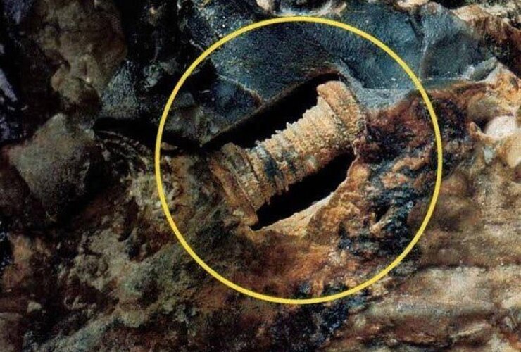 Imagen de Encuentran en Rusia tornillo con más de 300 millones de años