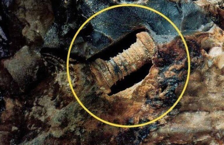 Imagen de Encuentran en Rusia tornillo con más de 300 millones de años