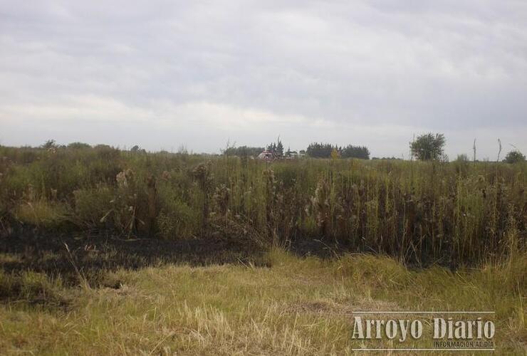 Los bomberos trabajaron cerca de 30 minutos en el lugar