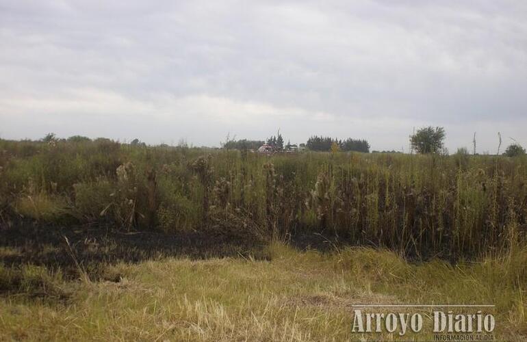 Los bomberos trabajaron cerca de 30 minutos en el lugar