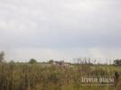 Los bomberos trabajaron cerca de 30 minutos en el lugar