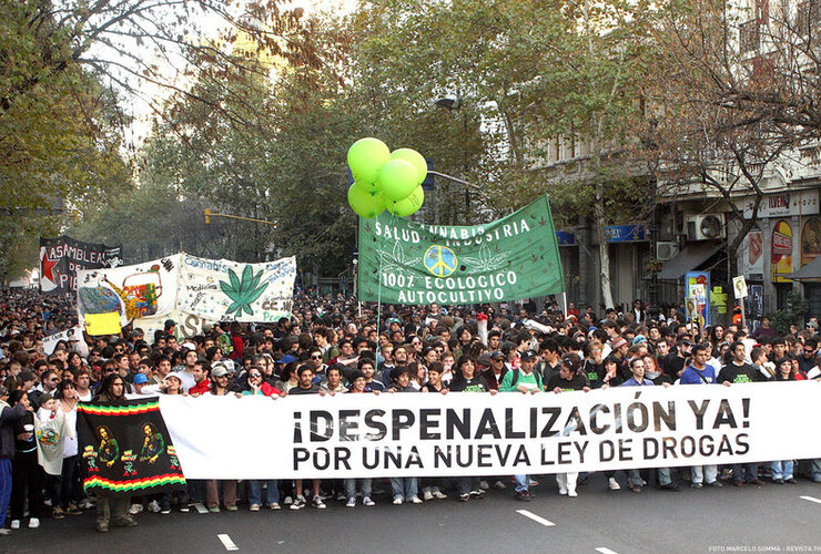 Imagen de Suma apoyos la propuesta de Bonfatti de abrir el debate para despenalizar la marihuana