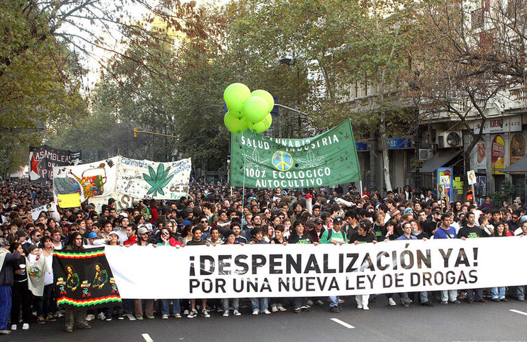 Imagen de Suma apoyos la propuesta de Bonfatti de abrir el debate para despenalizar la marihuana