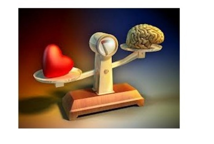 Imagen de "El corazón tiene cerebro"