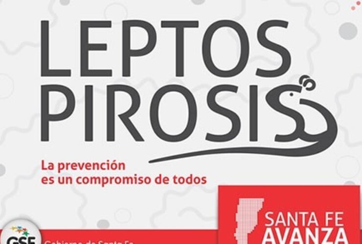 Folleto informativo sobre la Leptospirosis.