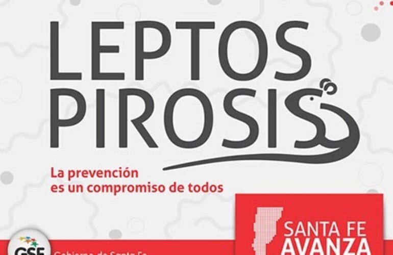 Folleto informativo sobre la Leptospirosis.